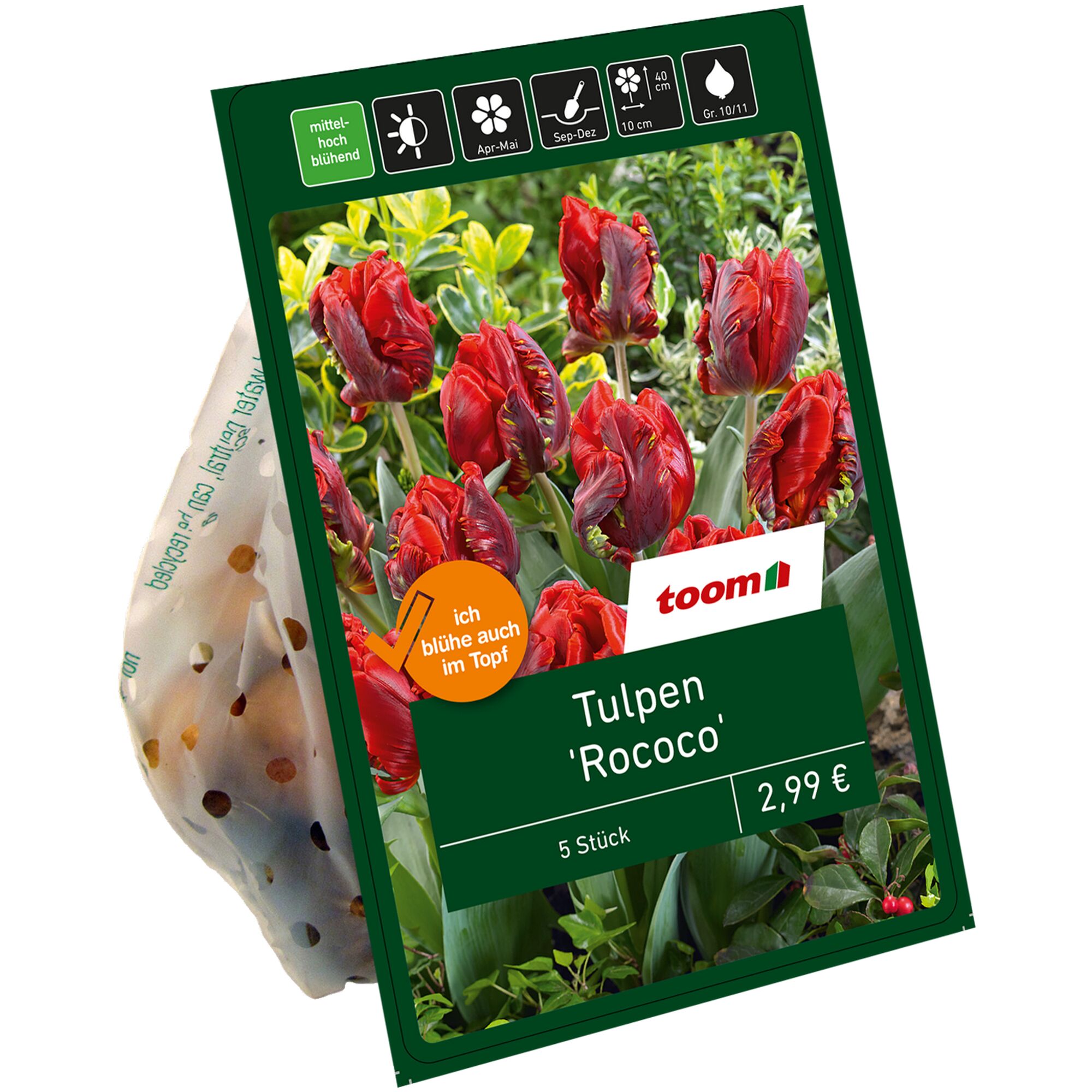Verpackung der Tulpen 'Rococo'