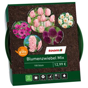 Blumenzwiebel-Mix rosa 100 Zwiebeln inkl. Pflanzkorb