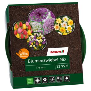 Blumenzwiebel-Mix bunt 77 Zwiebeln inkl. Pflanzkorb