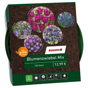 Blumenzwiebel-Mix blau 100 Zwiebeln inkl. Pflanzkorb