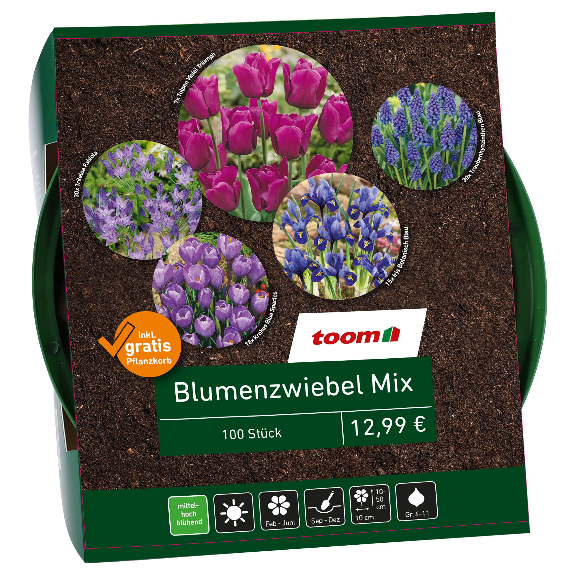Blumenzwiebel-Mix blau 100 Zwiebeln inkl. Pflanzkorb + product picture