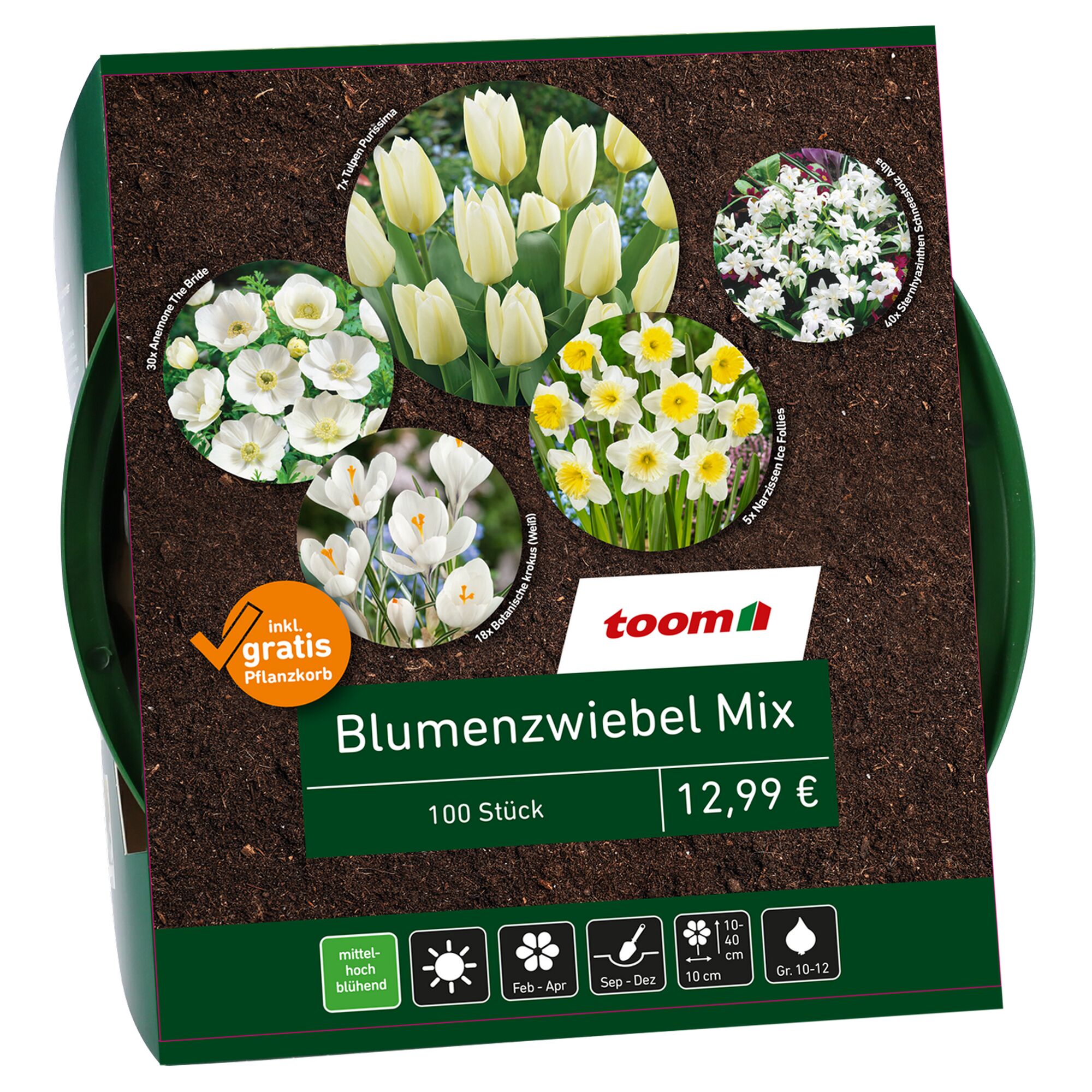 toom Blumenzwiebel Mix, 100 Stück