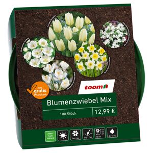 Blumenzwiebel-Mix weiß 100 Zwiebeln inkl. Pflanzkorb
