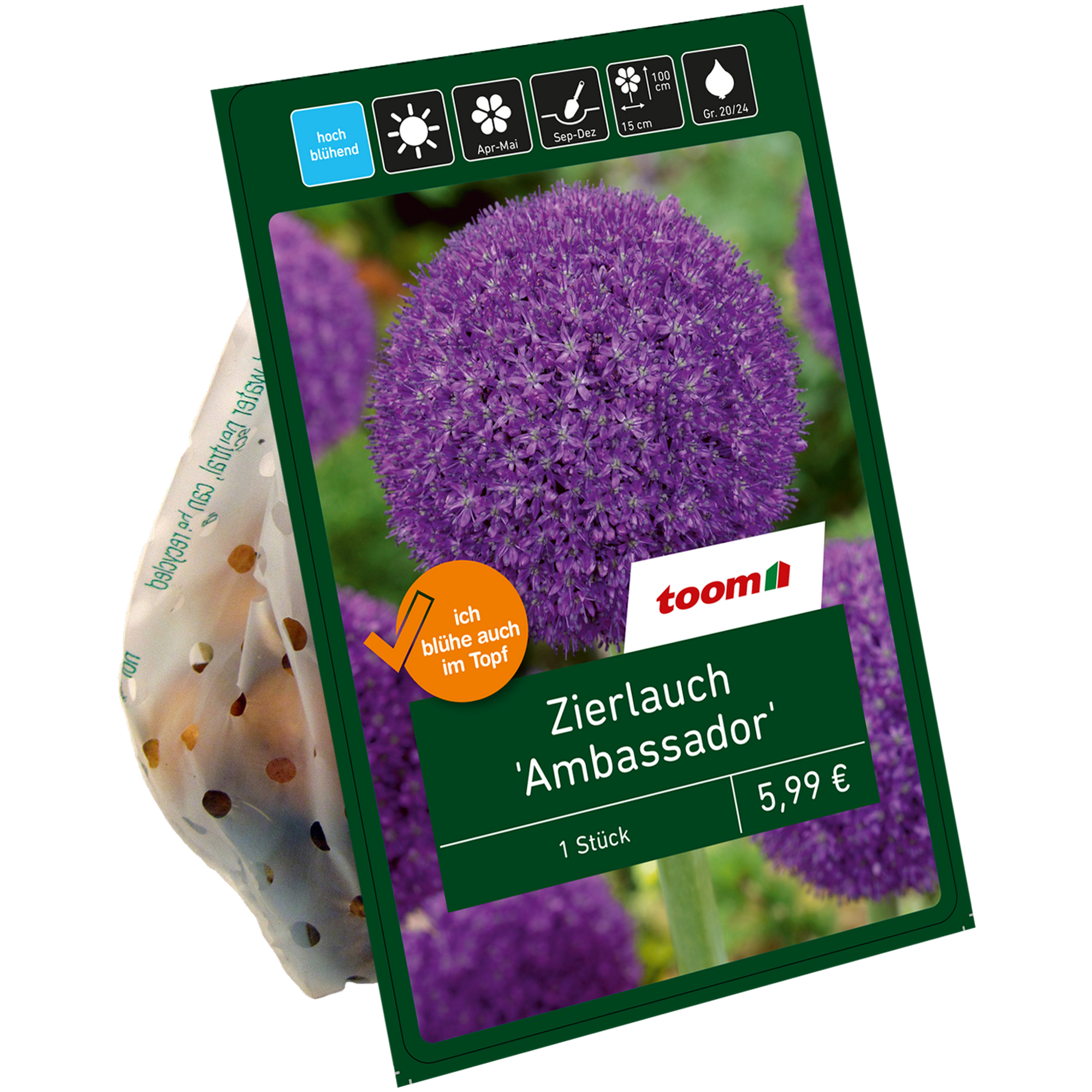 Zierlauch 'Ambassador' violett 1 Zwiebel + product picture