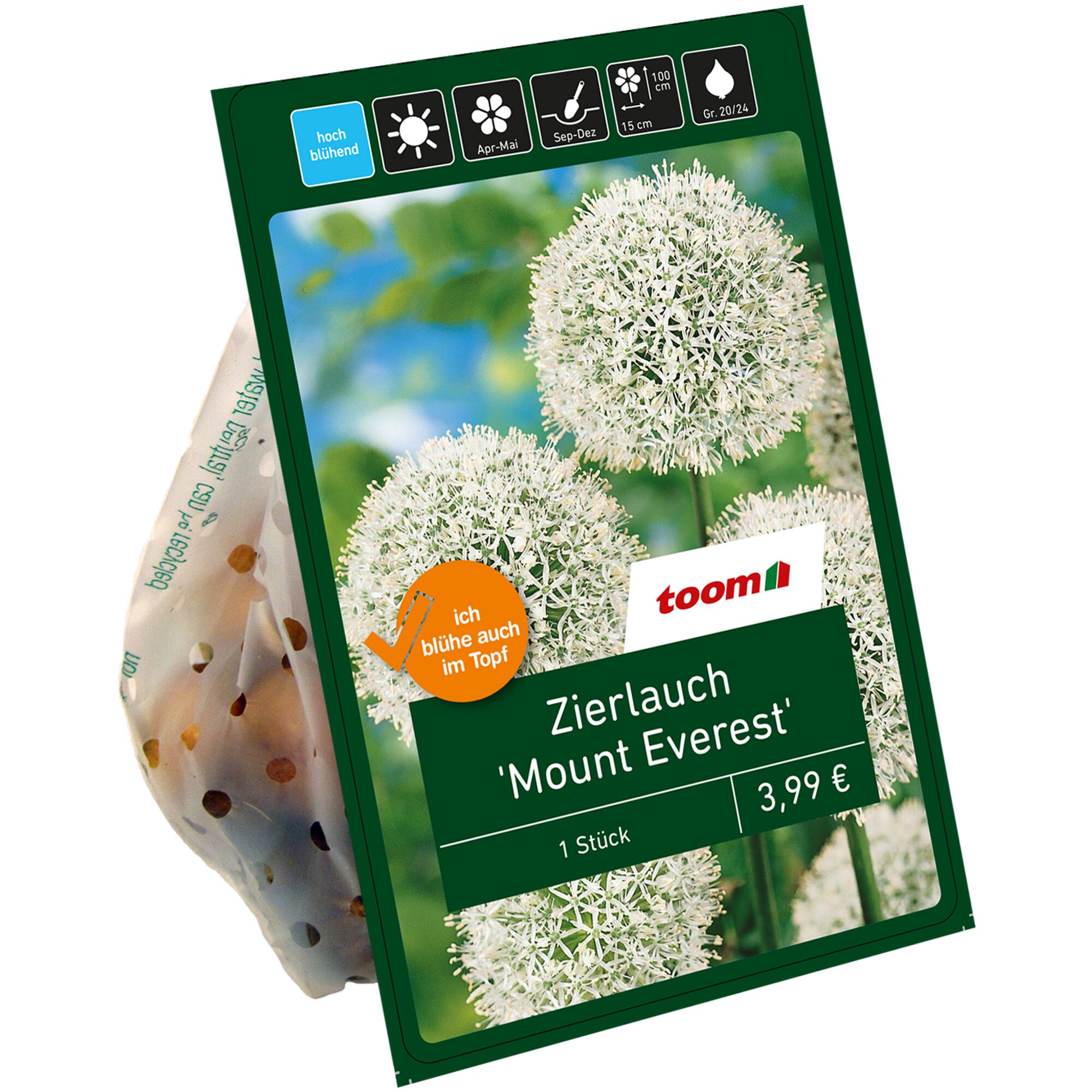 Zierlauch 'Mount Everest'