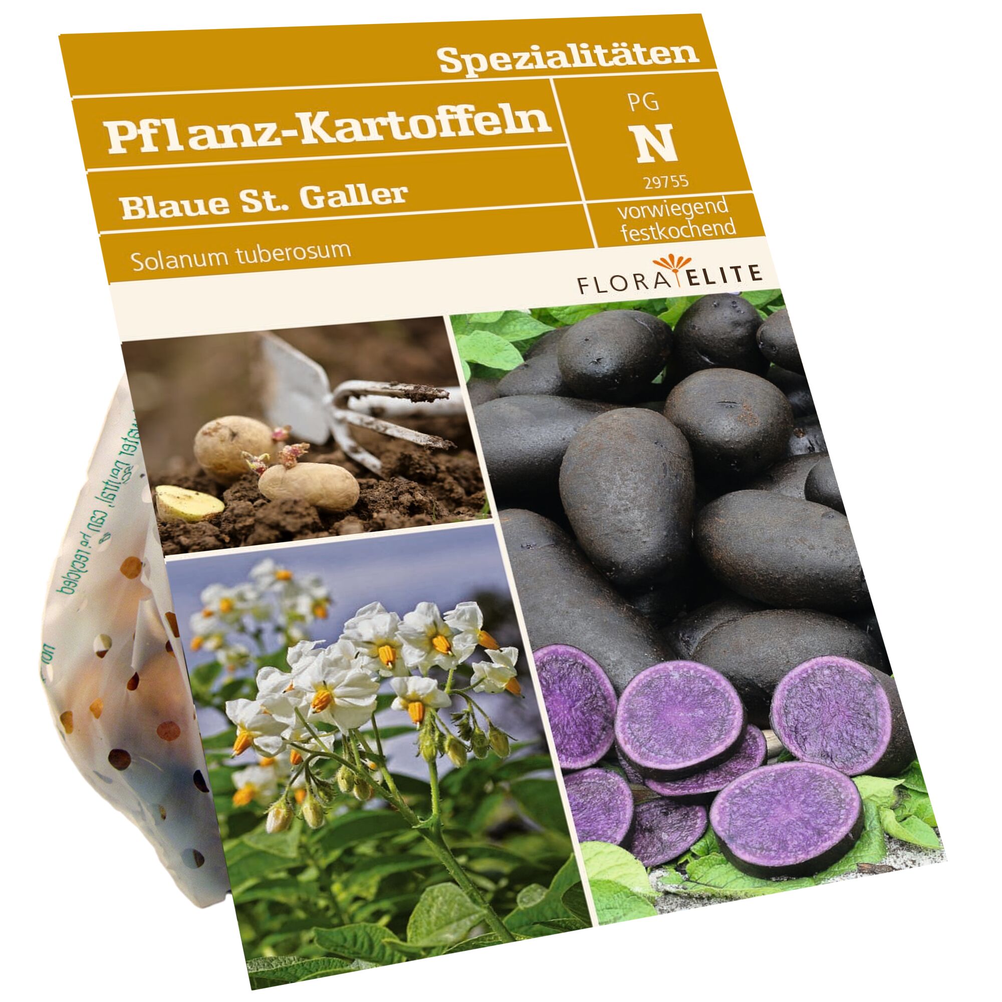 Blaue St. Galler Pflanzkartoffeln, Blüte, Knolle und Schnitt