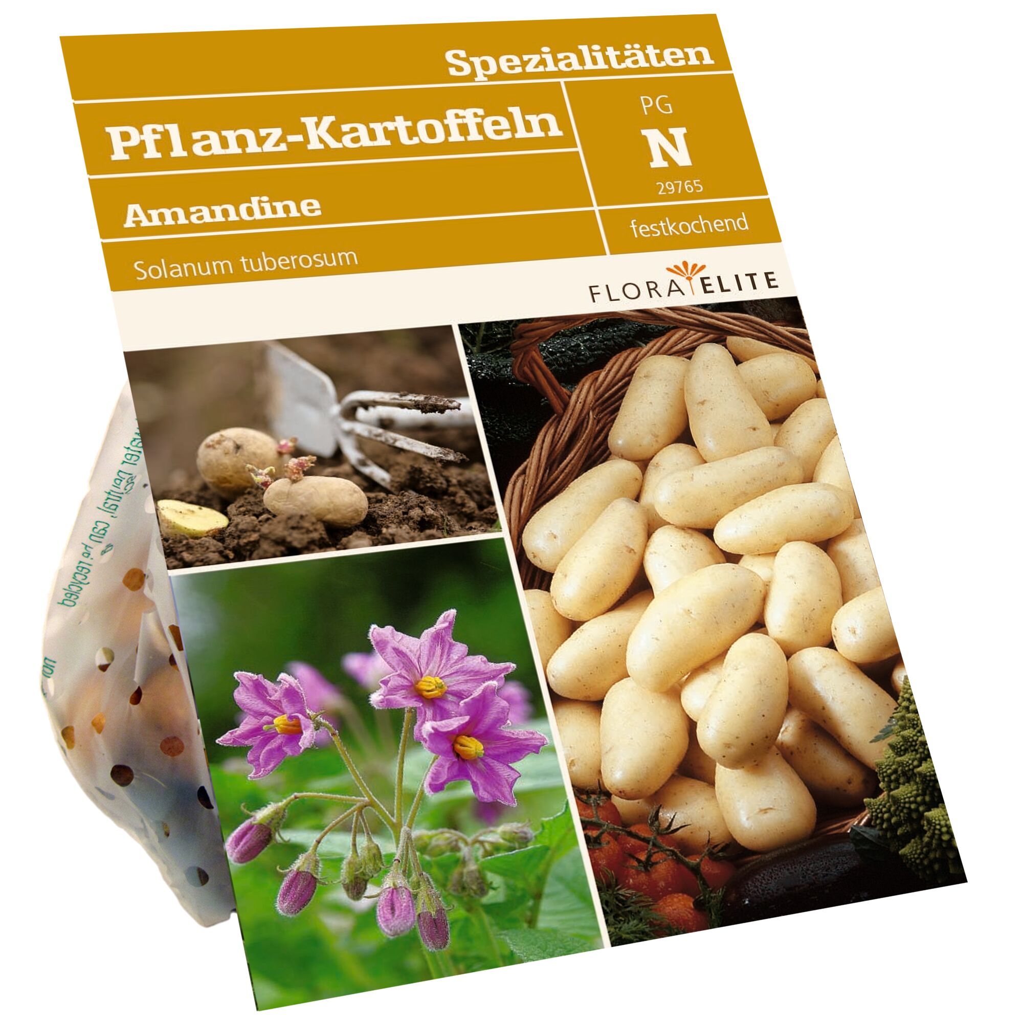 Pflanzkartoffeln Amandine, Kartoffeln im Netz, Kartoffeln im Korb, Kartoffelpflanze mit Blüte