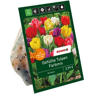 Gefüllte Tulpen 'Mix' 20 Zwiebeln
