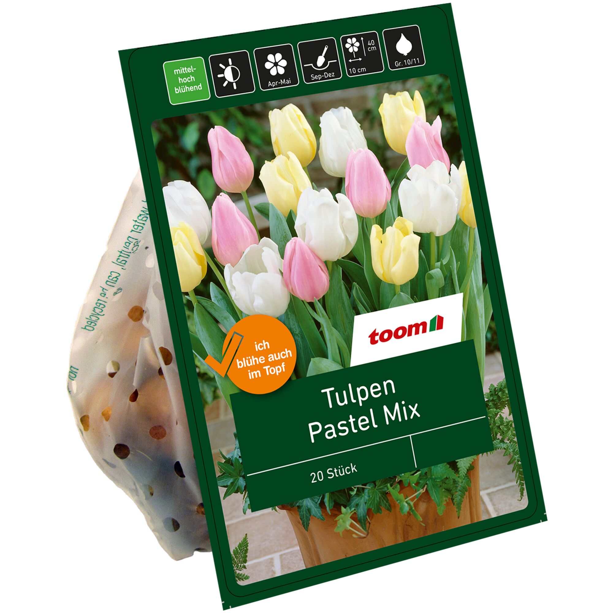 Tulpen Pastel Mix, 20 Stück