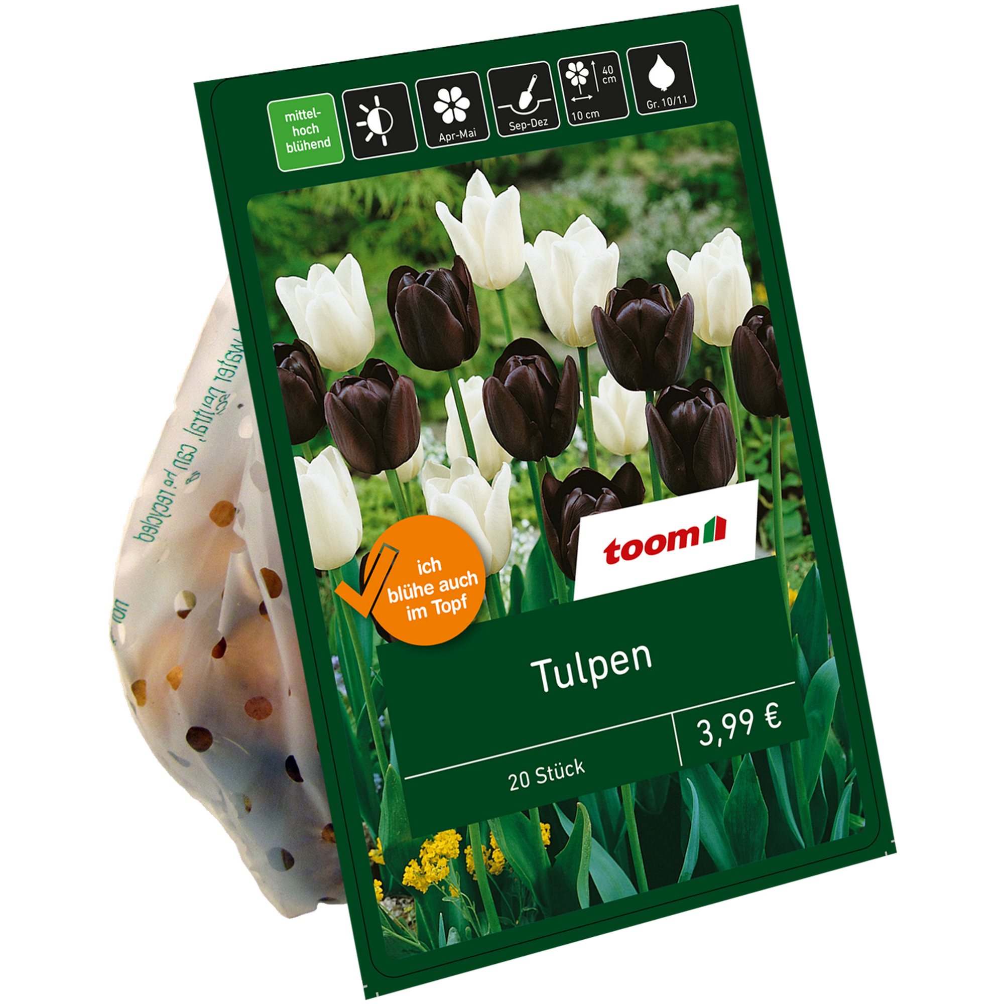 Tulpen-Mix dunkel-weiß 20 Zwiebeln + product picture