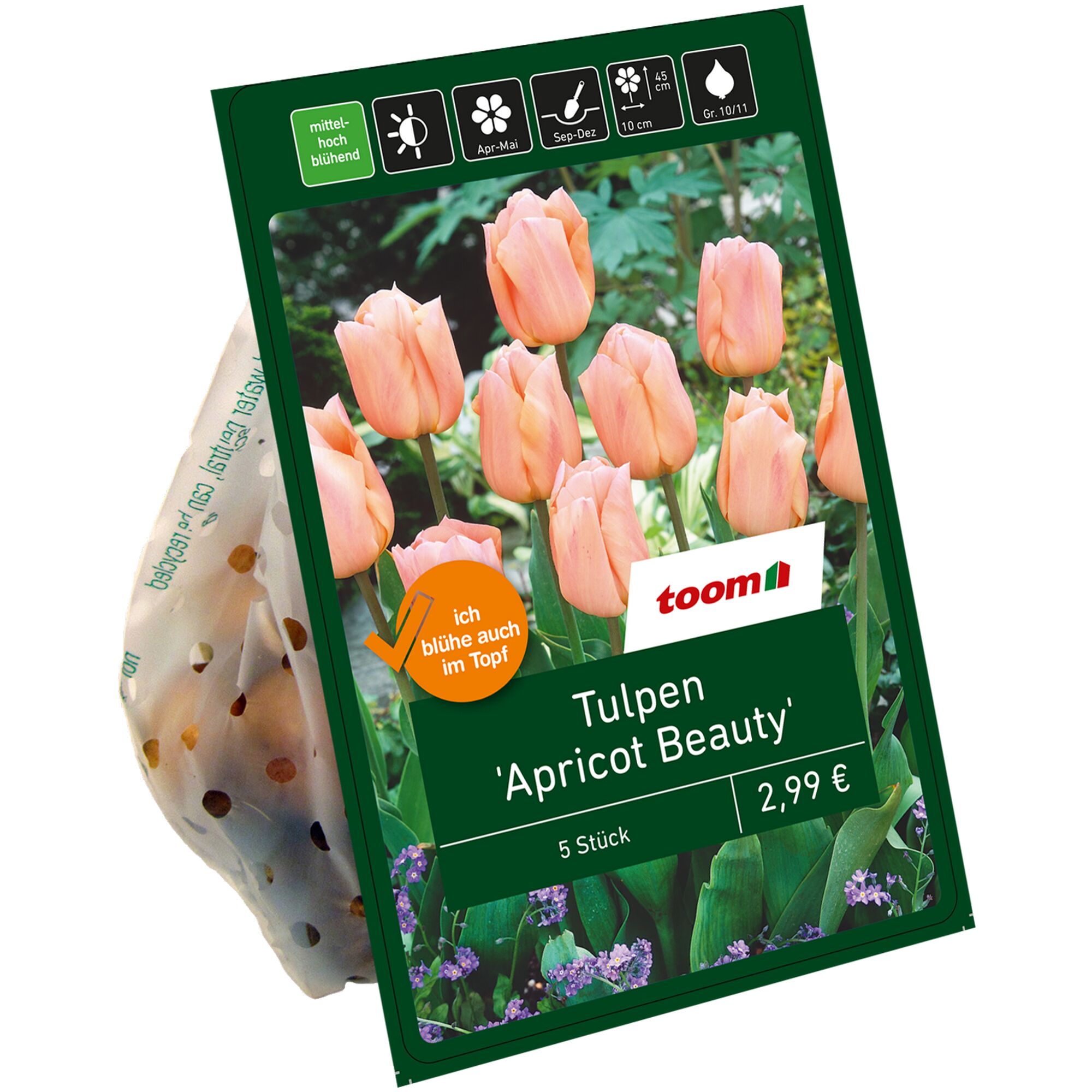 Toom Tulpen 'Apricot Beauty' 5 Stück