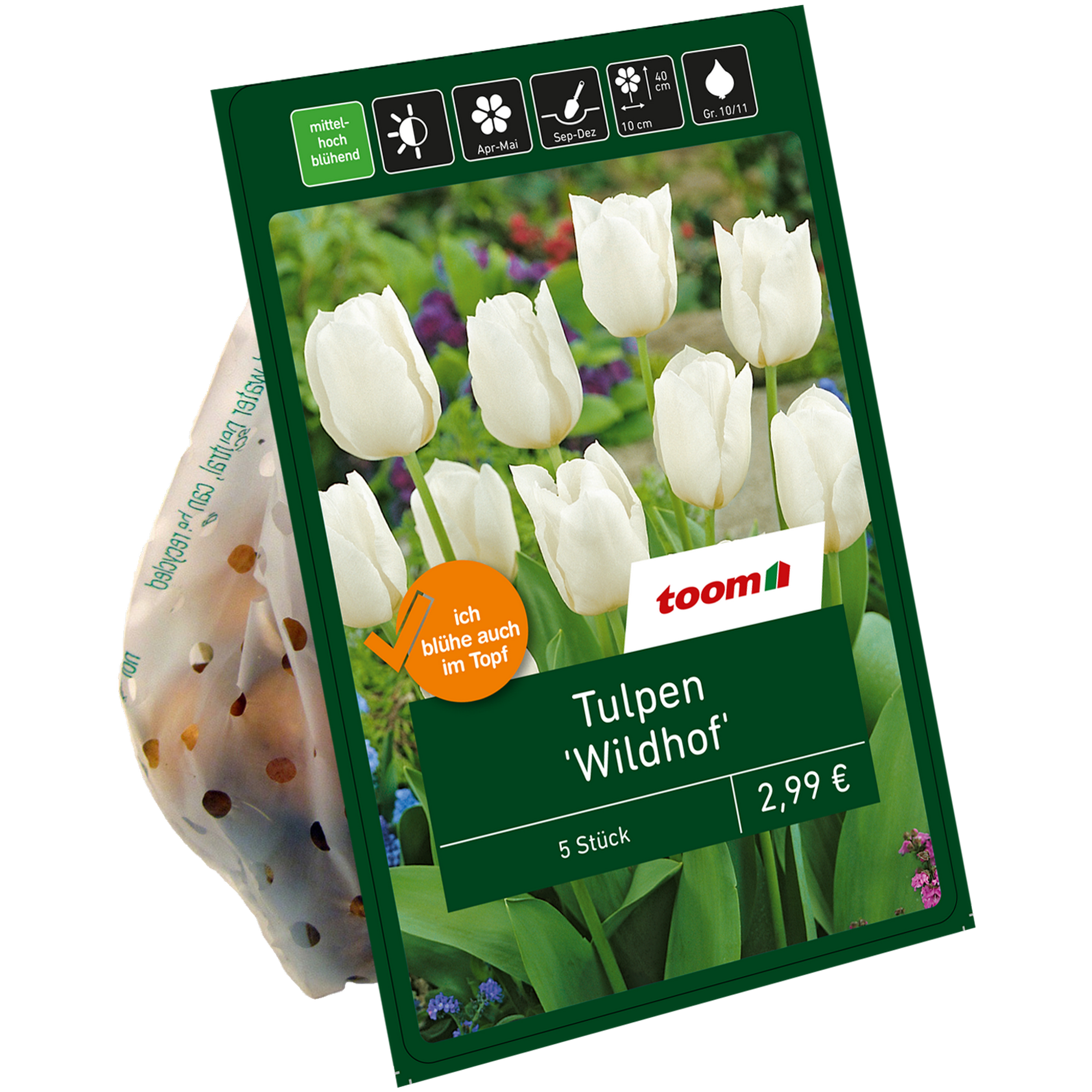 Tulpen ' Wildhof' weiß 7 Zwiebeln + product picture