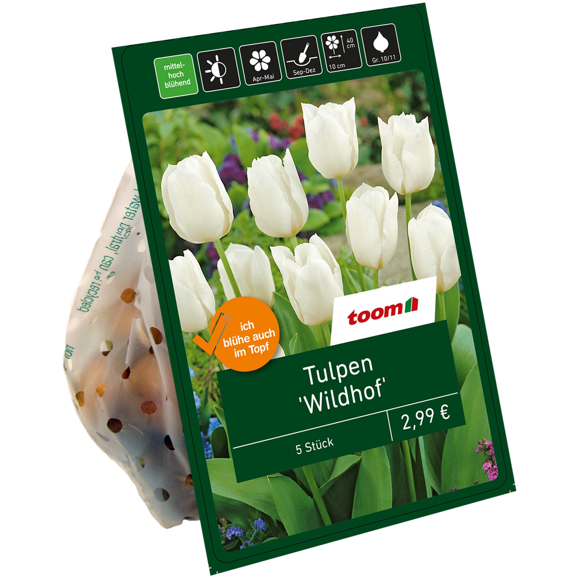 Weiße Tulpen 'Wildhof', 5 Stück