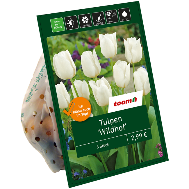 Bild von Tulpen ' Wildhof' weiß 7 Zwiebeln