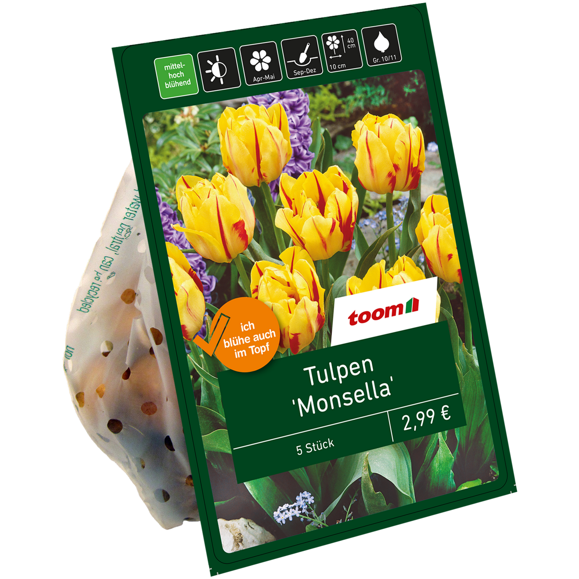 Tulpen 'Monsella' rot-gelb 5 Zwiebeln + product picture