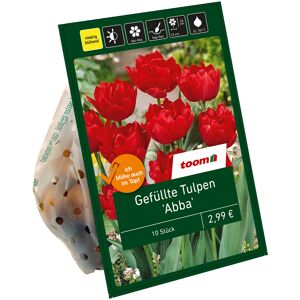 Gefüllte Tulpen 'Abba' rot 10 Zwiebeln