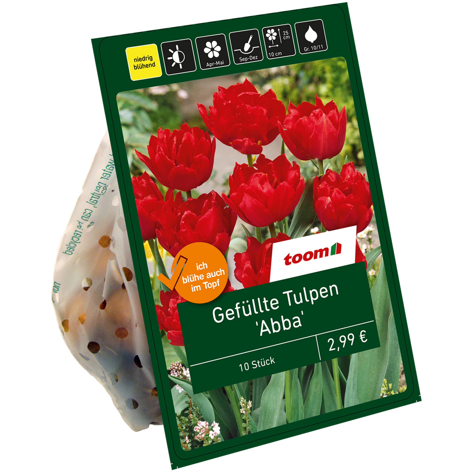 Gefüllte Tulpen 'Abba' rot 10 Zwiebeln + product picture