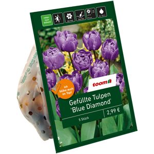 Gefüllte Tulpen 'Blue Diamond' blau-violett 5 Zwiebeln