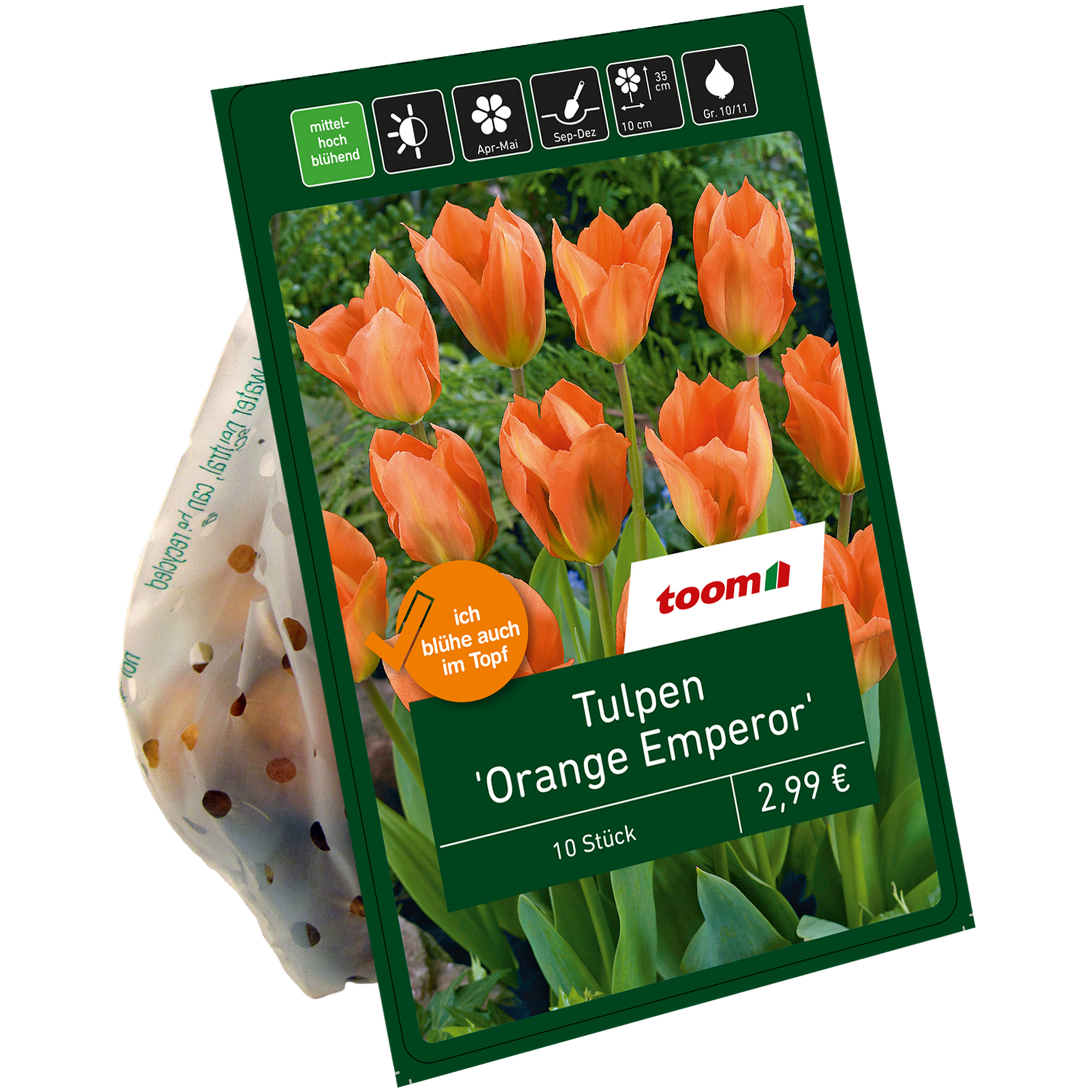 Tulpen 'Orange Emperor' orange 10 Zwiebeln + product picture