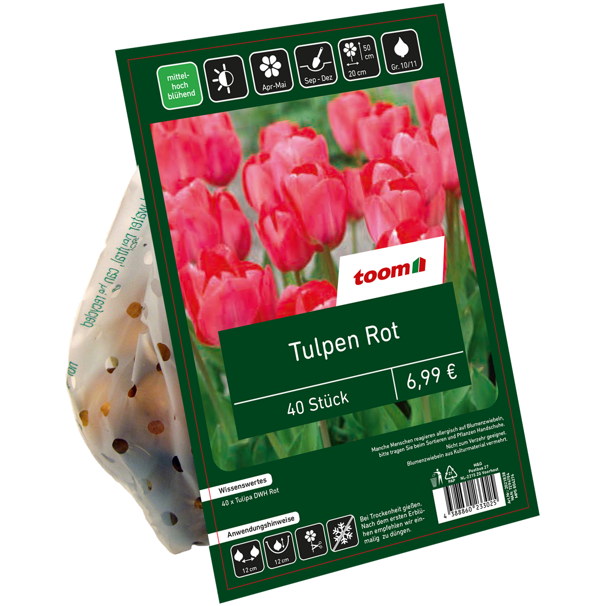 Tulpen rot 40 Zwiebeln + product picture