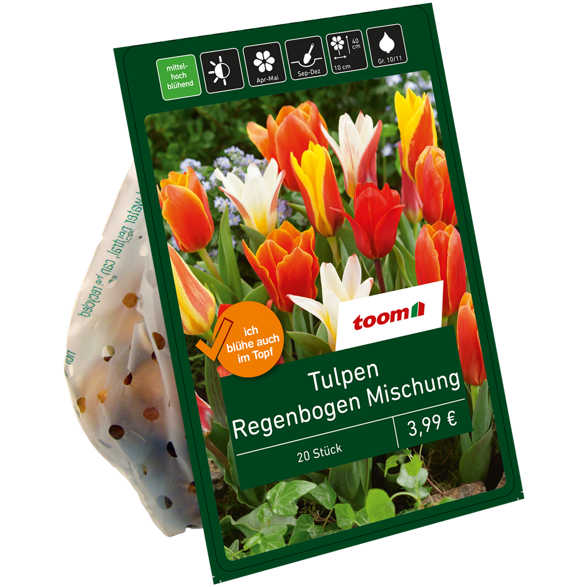 Botanische Tulpen 'Regenbogen' 20 Zwiebeln + product picture
