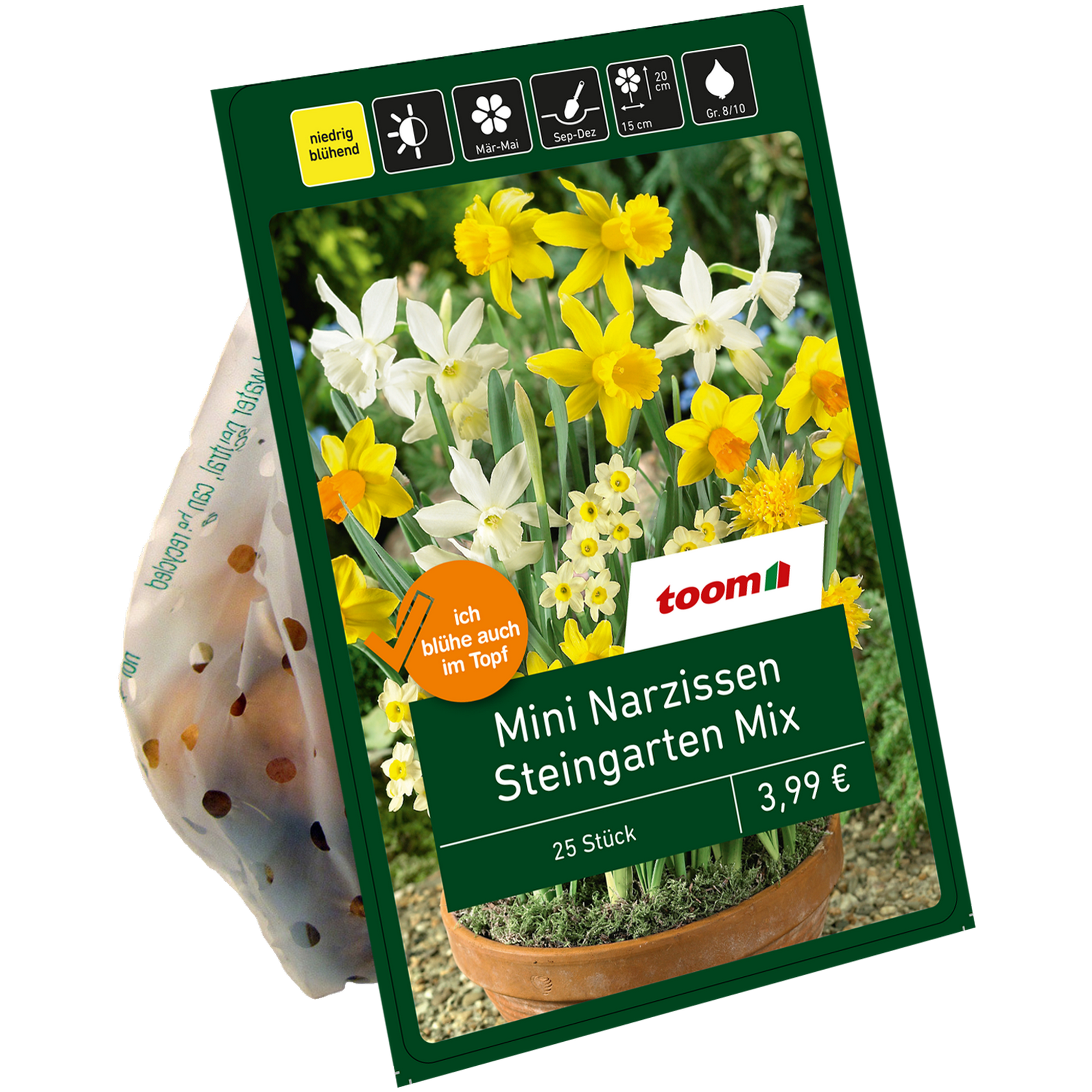 Mini-Narzissen 'Steingarten Mischung' 25 Zwiebeln + product picture