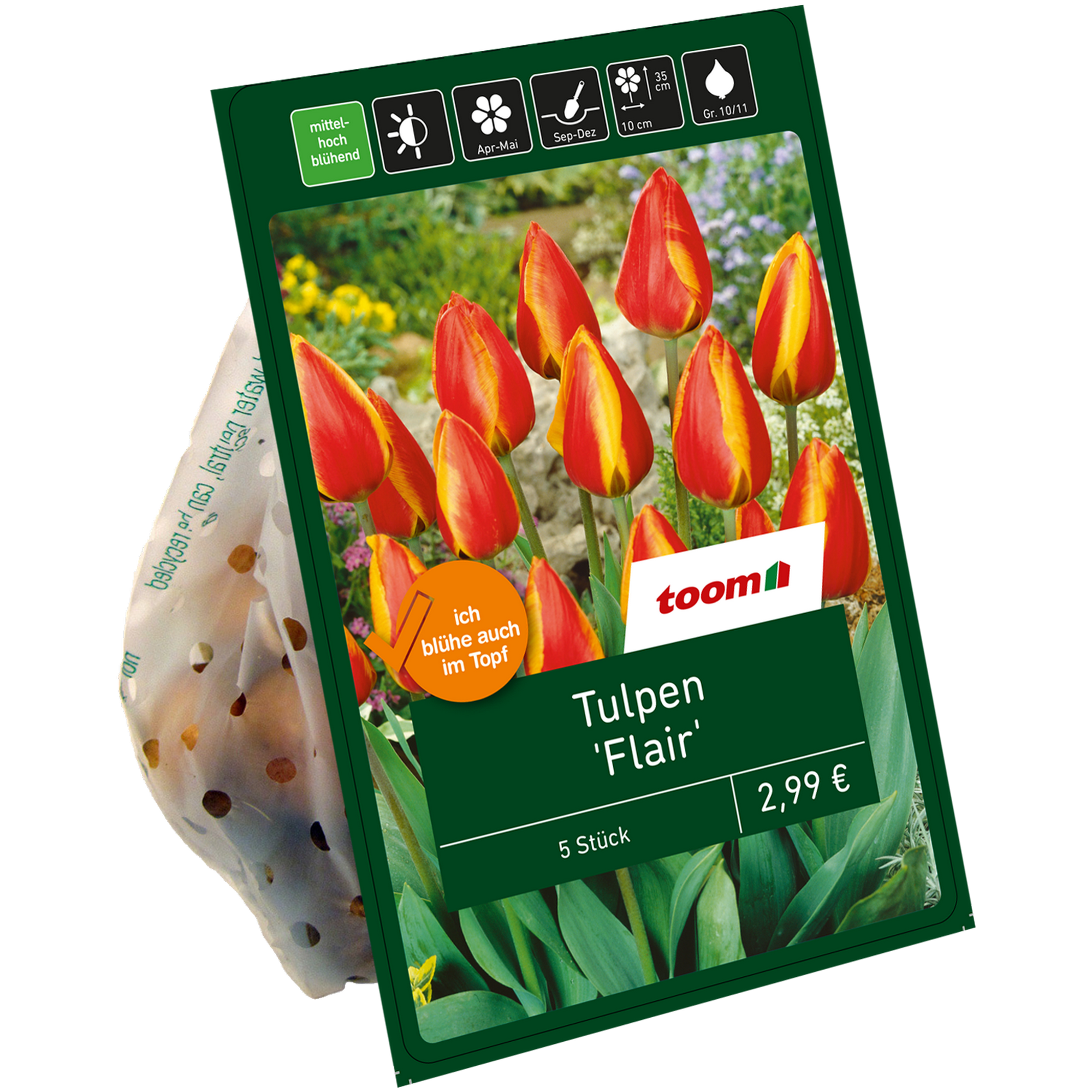 Tulpen 'Flair' rot-gelb 5 Zwiebeln + product picture