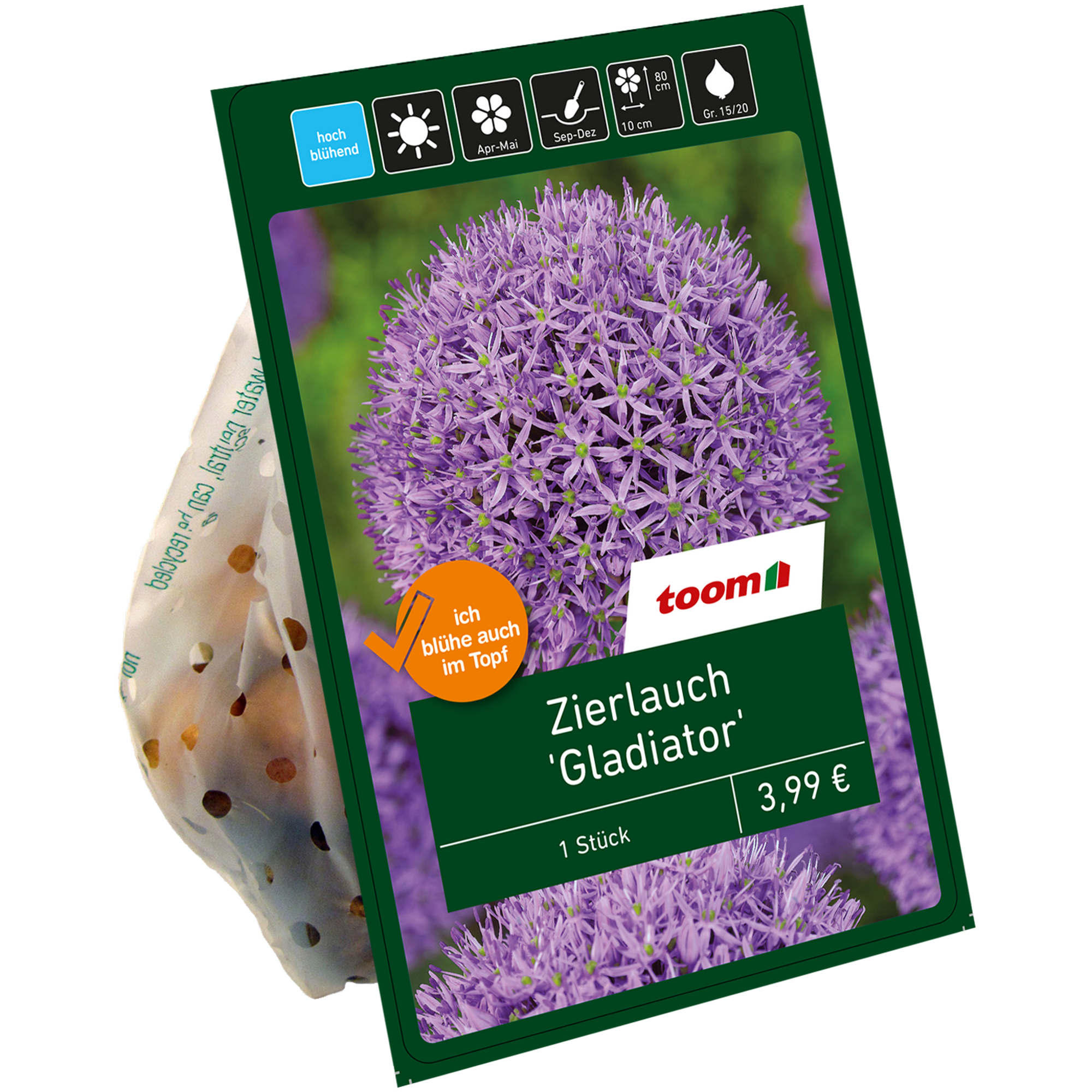 Zierlauch 'Gladiator' purple 1 Zwiebel + product picture