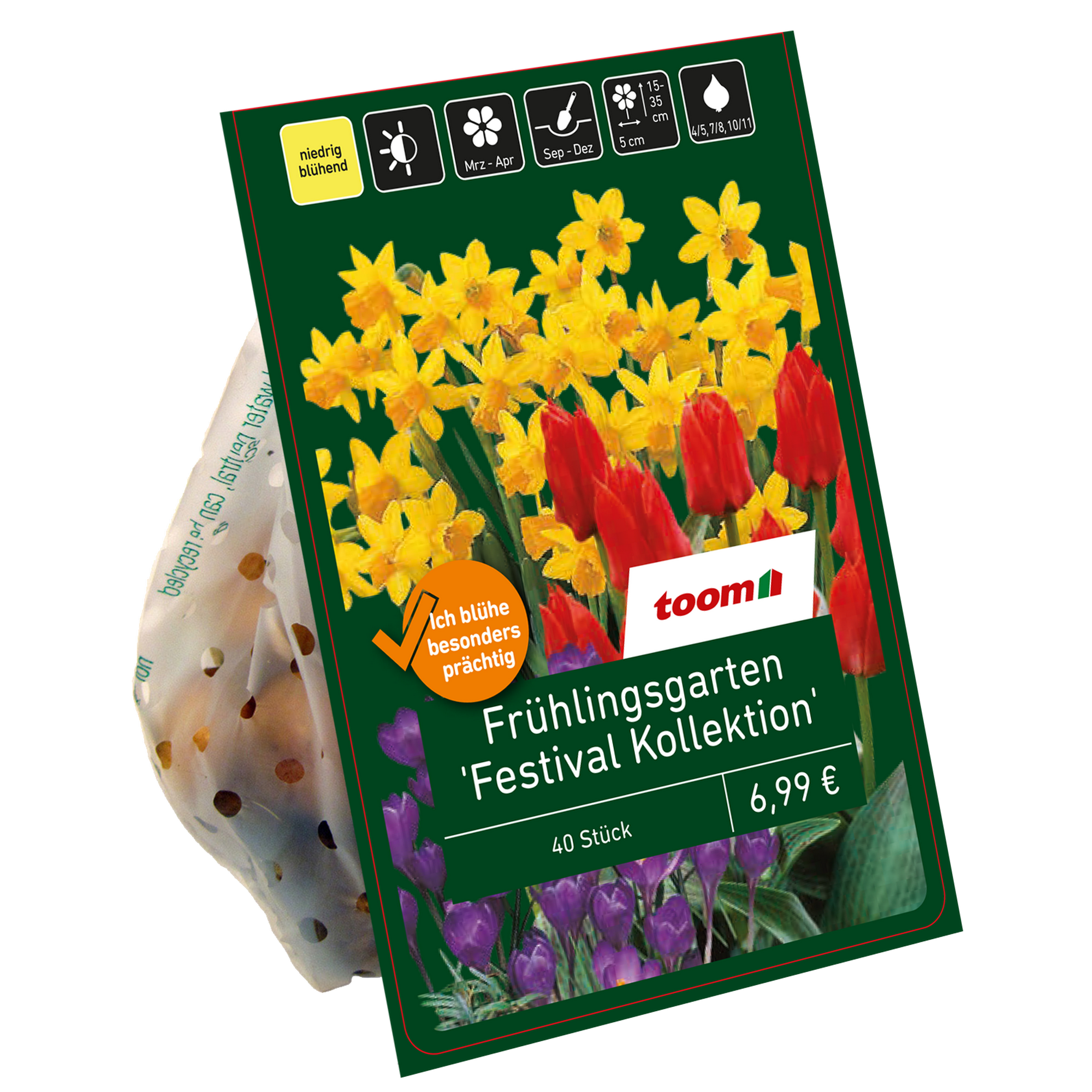 Frühlingsgarten 'Festival Kollektion' Mischung 50 Zwiebeln + product picture
