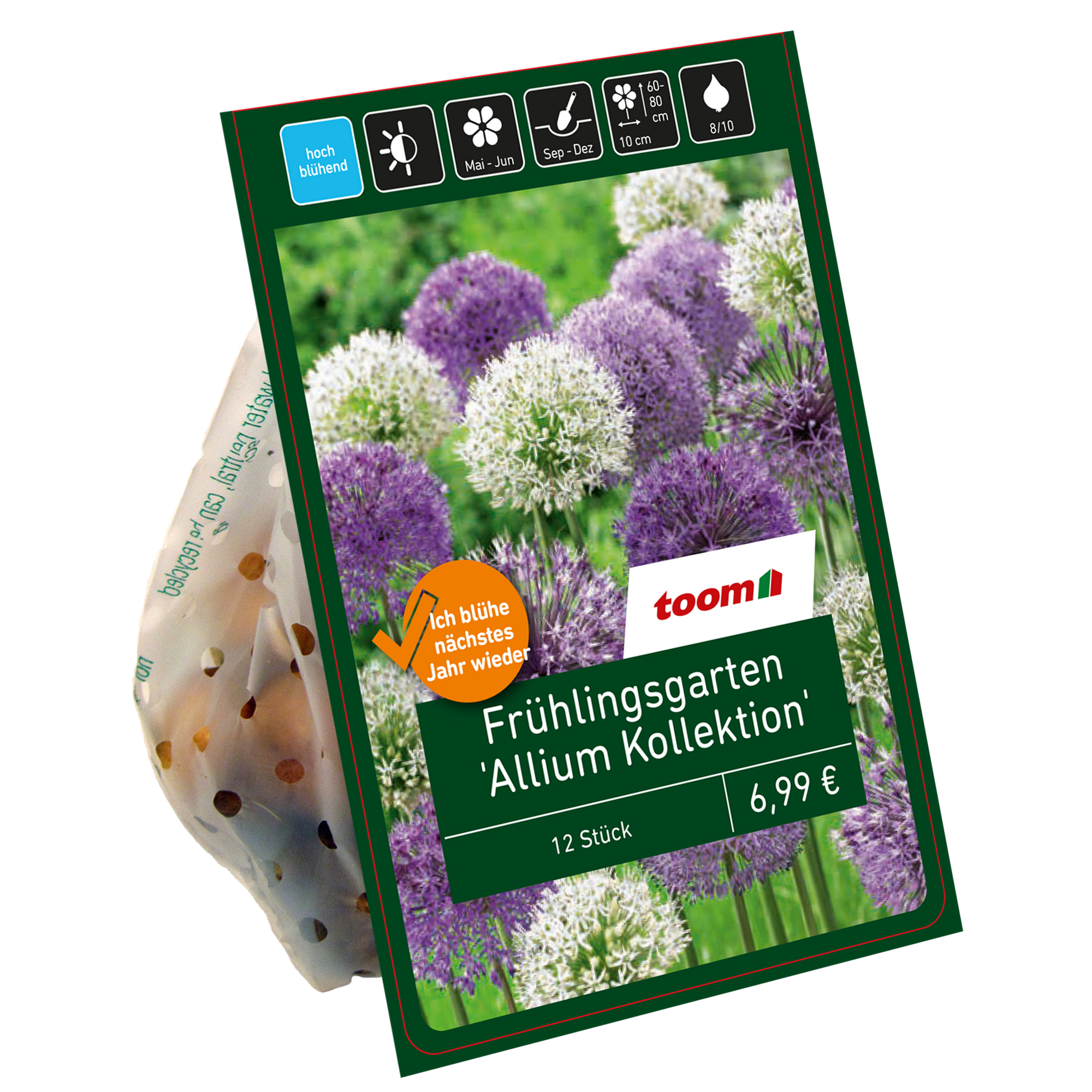 Zierlauchgarten 'Allium Kollektion' purpur-weiß-lila 15 Zwiebeln + product picture