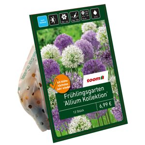 Zierlauchgarten 'Allium Kollektion' purpur-weiß-lila 15 Zwiebeln