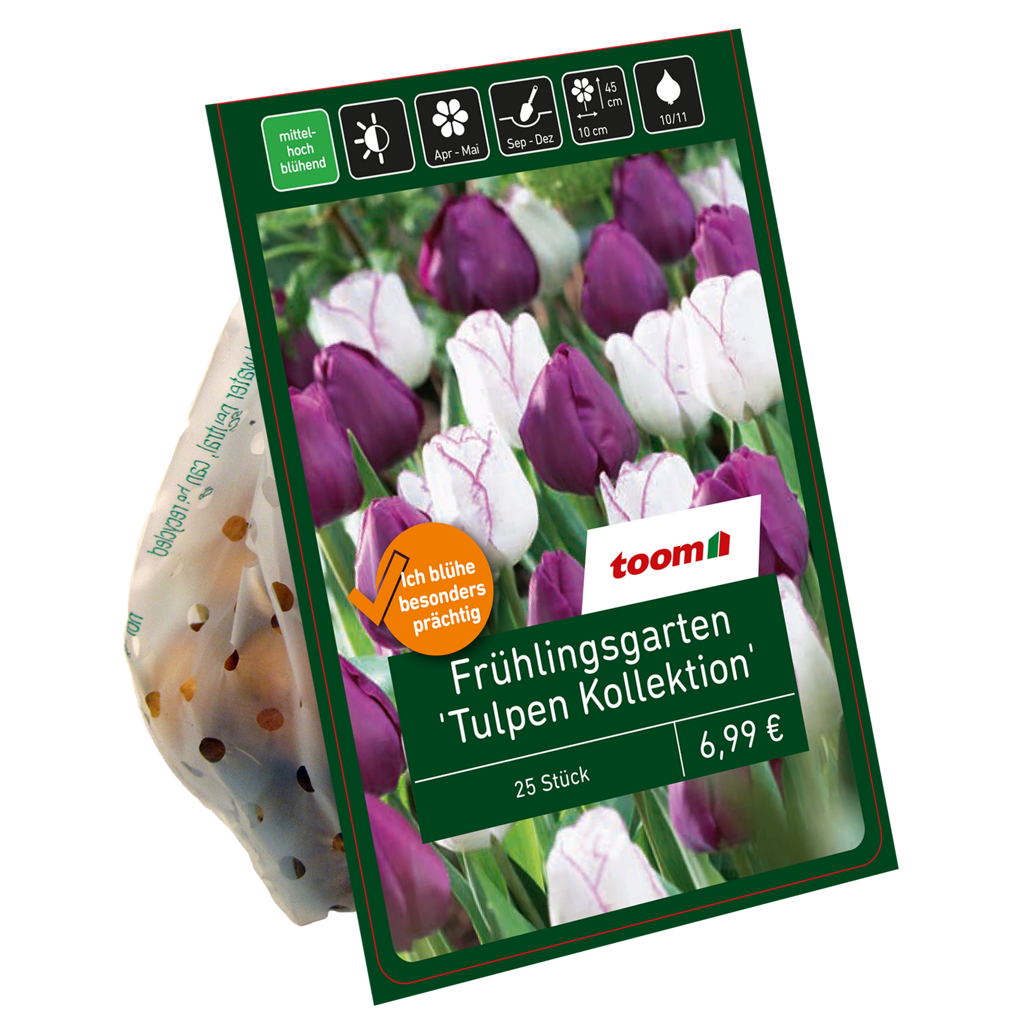 Frühlingsgarten 'Tulpen Kollektion' 25 Zwiebeln + product picture