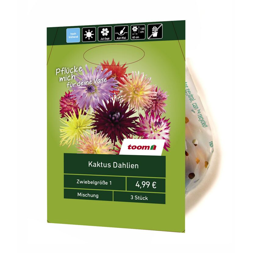 Kaktusdahlien-Mix 3 Stück