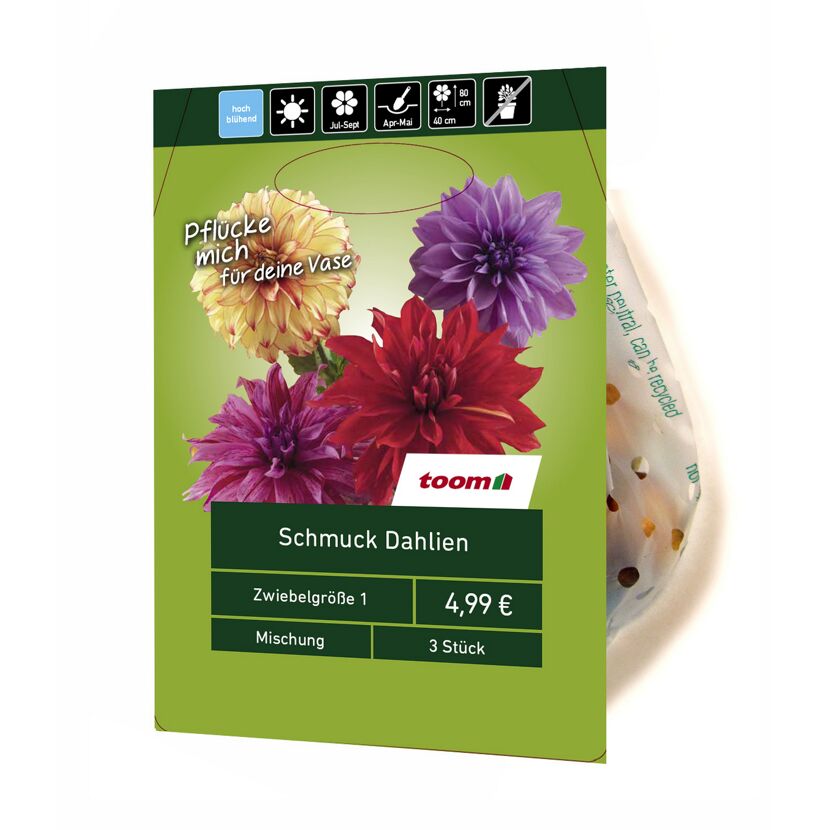 Schmuckdahlien-Mix 3 Stück