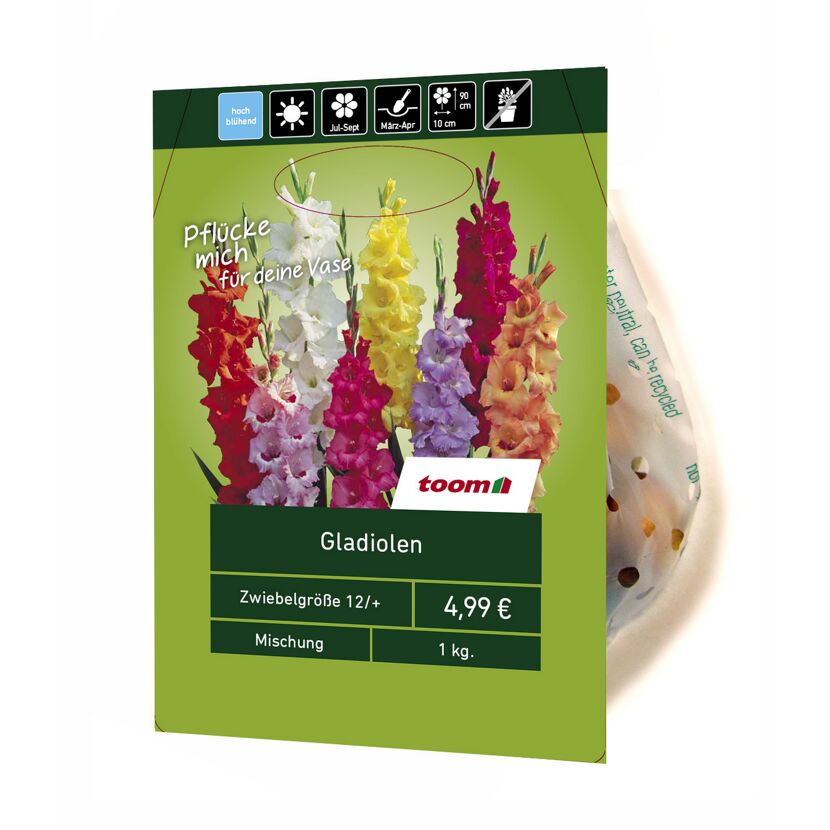 Gladiolen-Mix 1 kg
