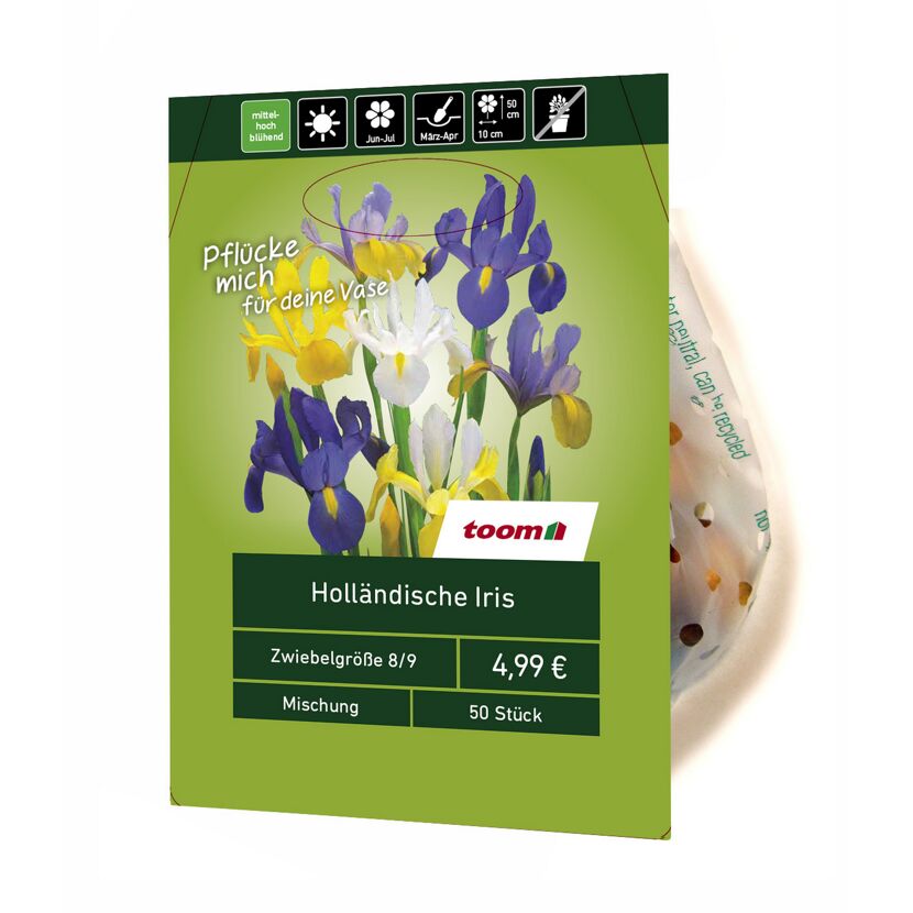 Holländische Iris 50 Stück