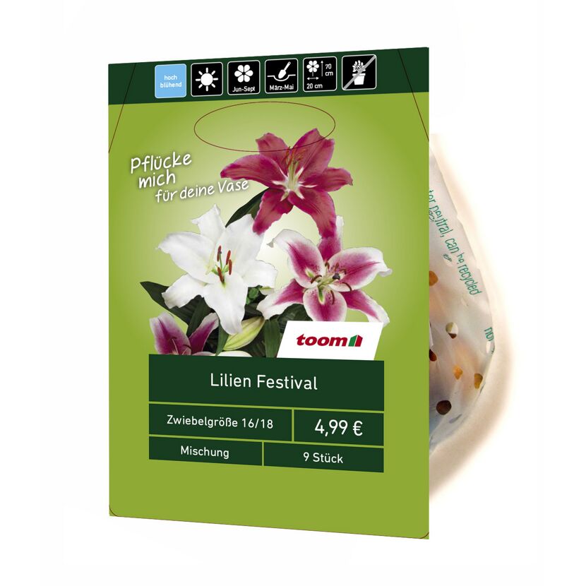 Lilien-Mix 'Festival' 9 Stück
