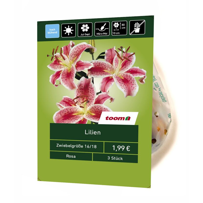 Lilien rosa 3 Stück