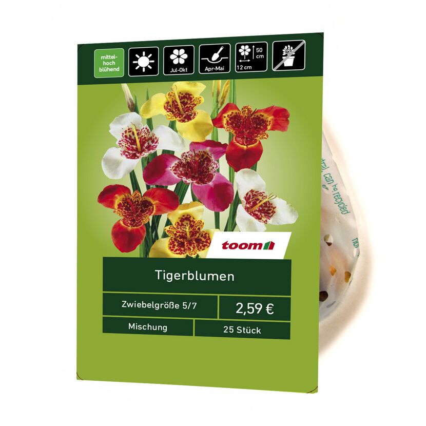 Tigerblumen-Mischung, Zwiebelgröße 5/7