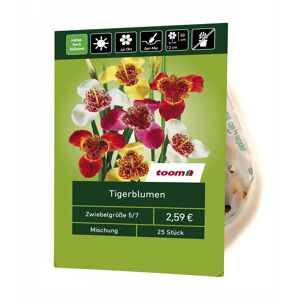 Tigerblumen-Mix 25 Stück