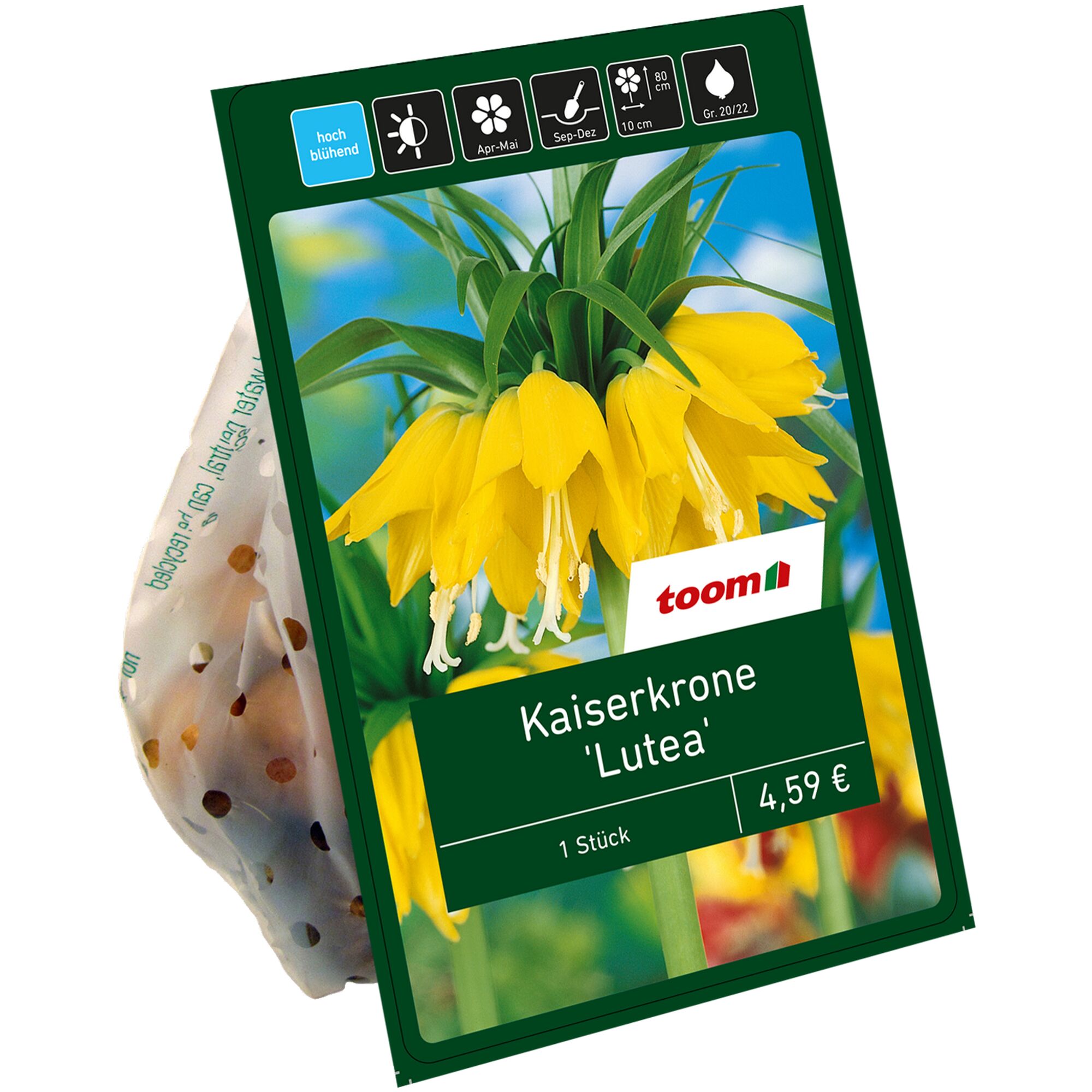 Kaiserkrone 'Lutea', gelbe Blüten