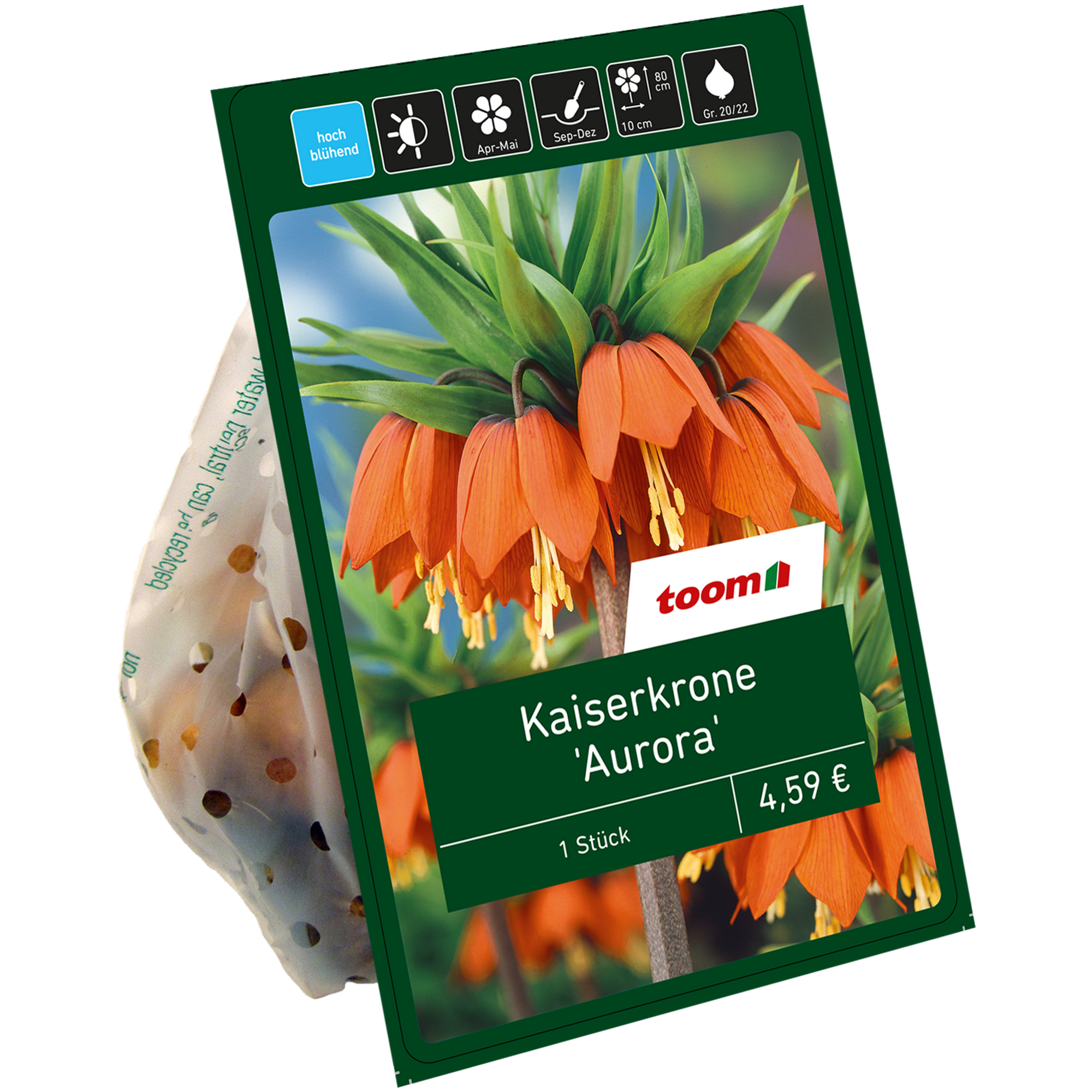 Kaiserkrone 'Aurora' orange 1 Zwiebel + product picture