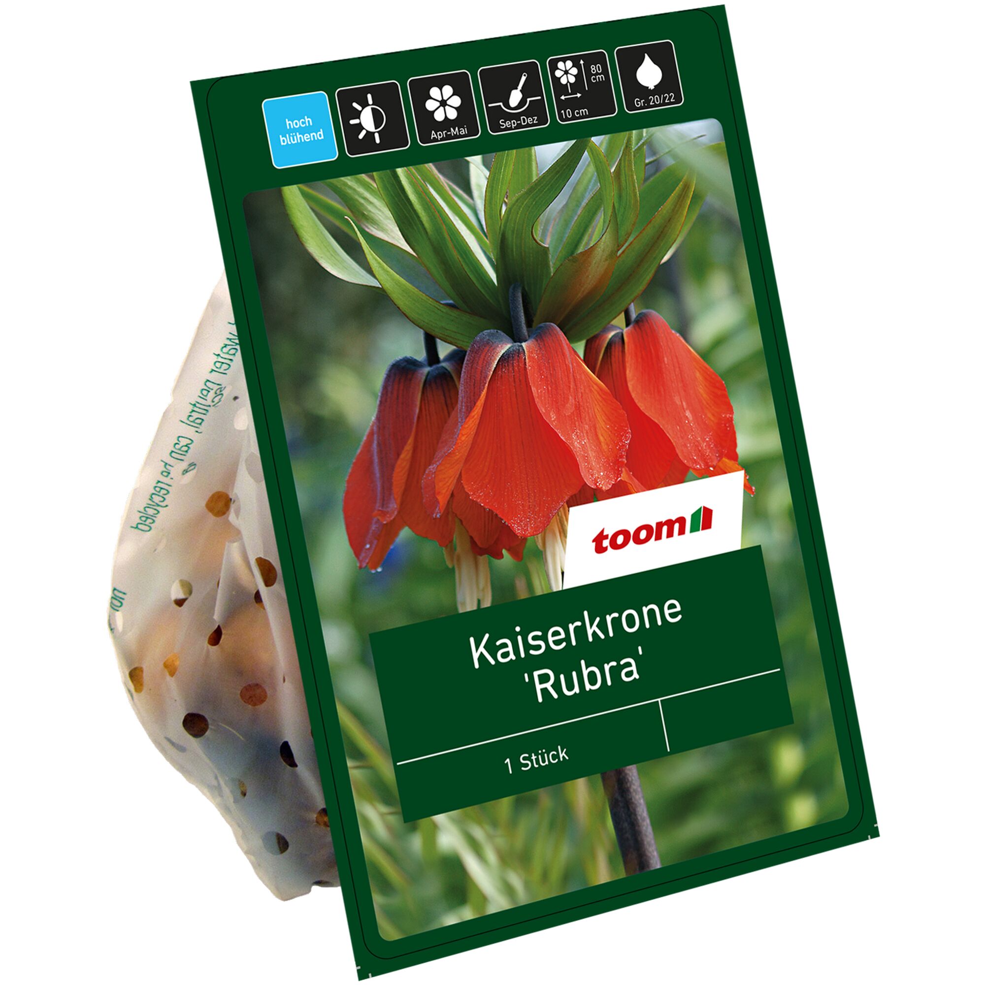 Kaiserkrone 'Rubra'