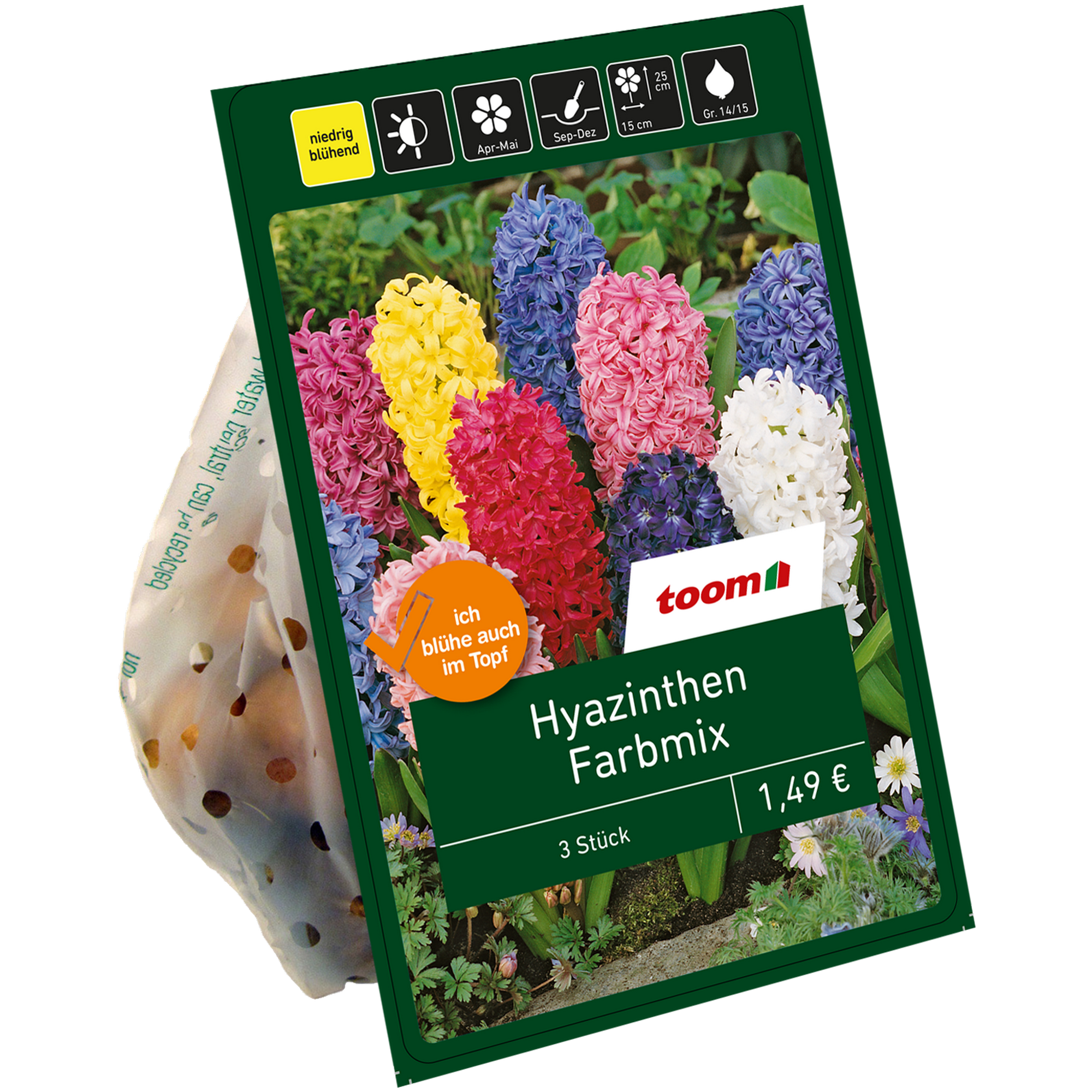 Hyazinthen-Mischung 3 Zwiebeln + product picture