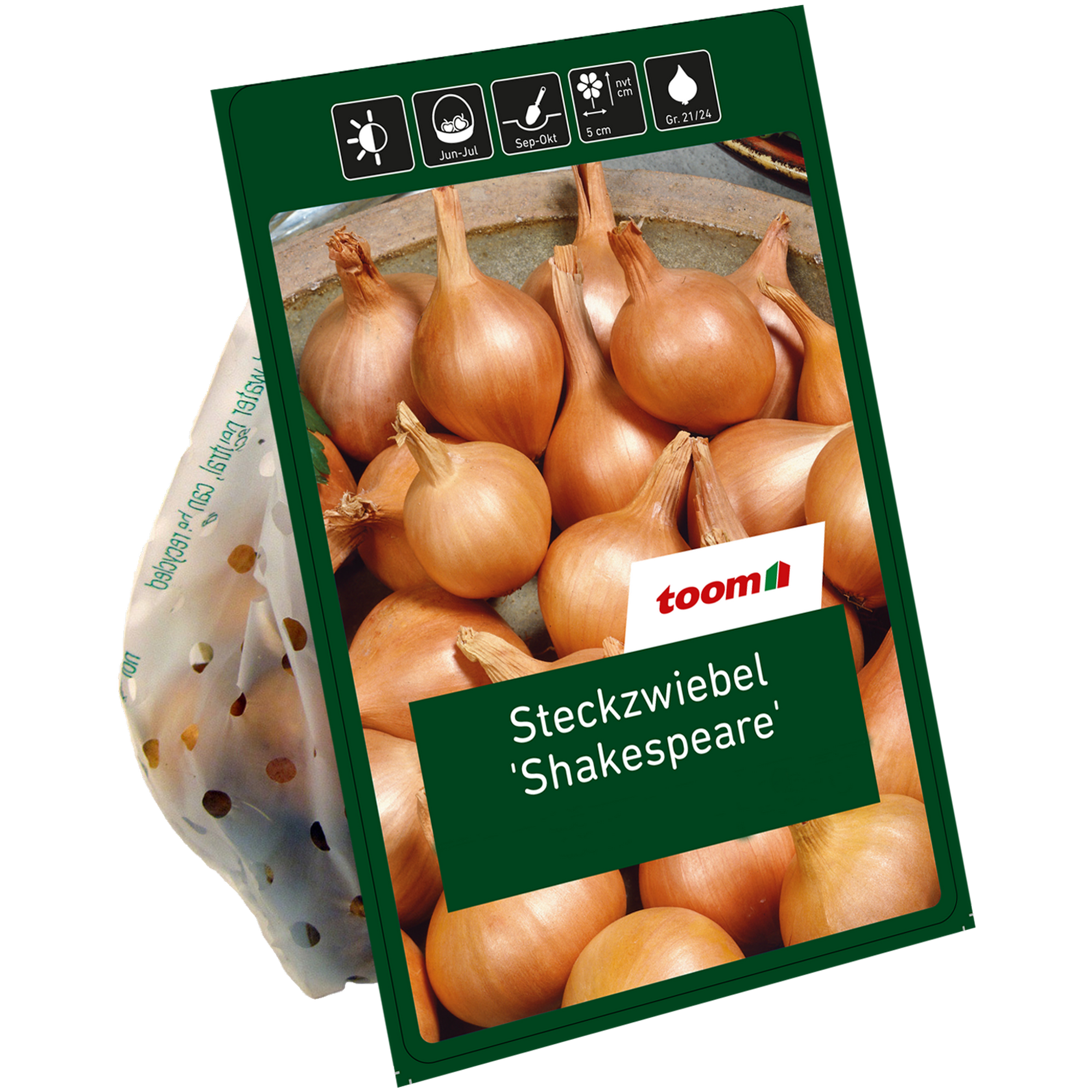 Steckzwiebeln 'Shakespeare' gelb 400 Gramm