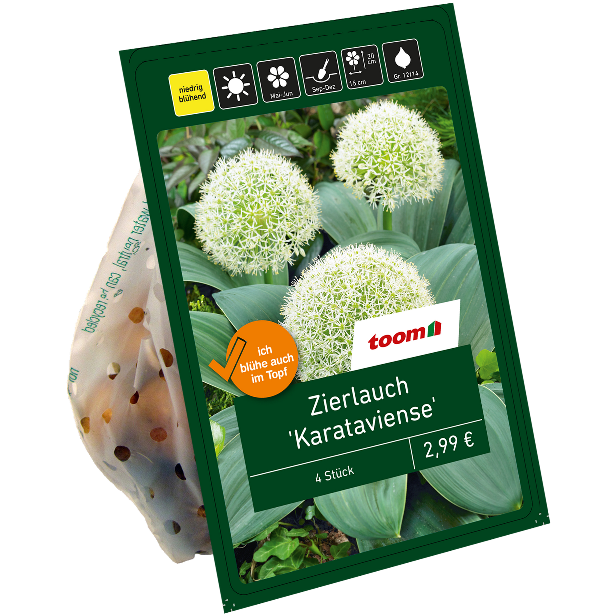 Zierlauch 'Karatieviense' weiß 4 Zwiebeln + product picture