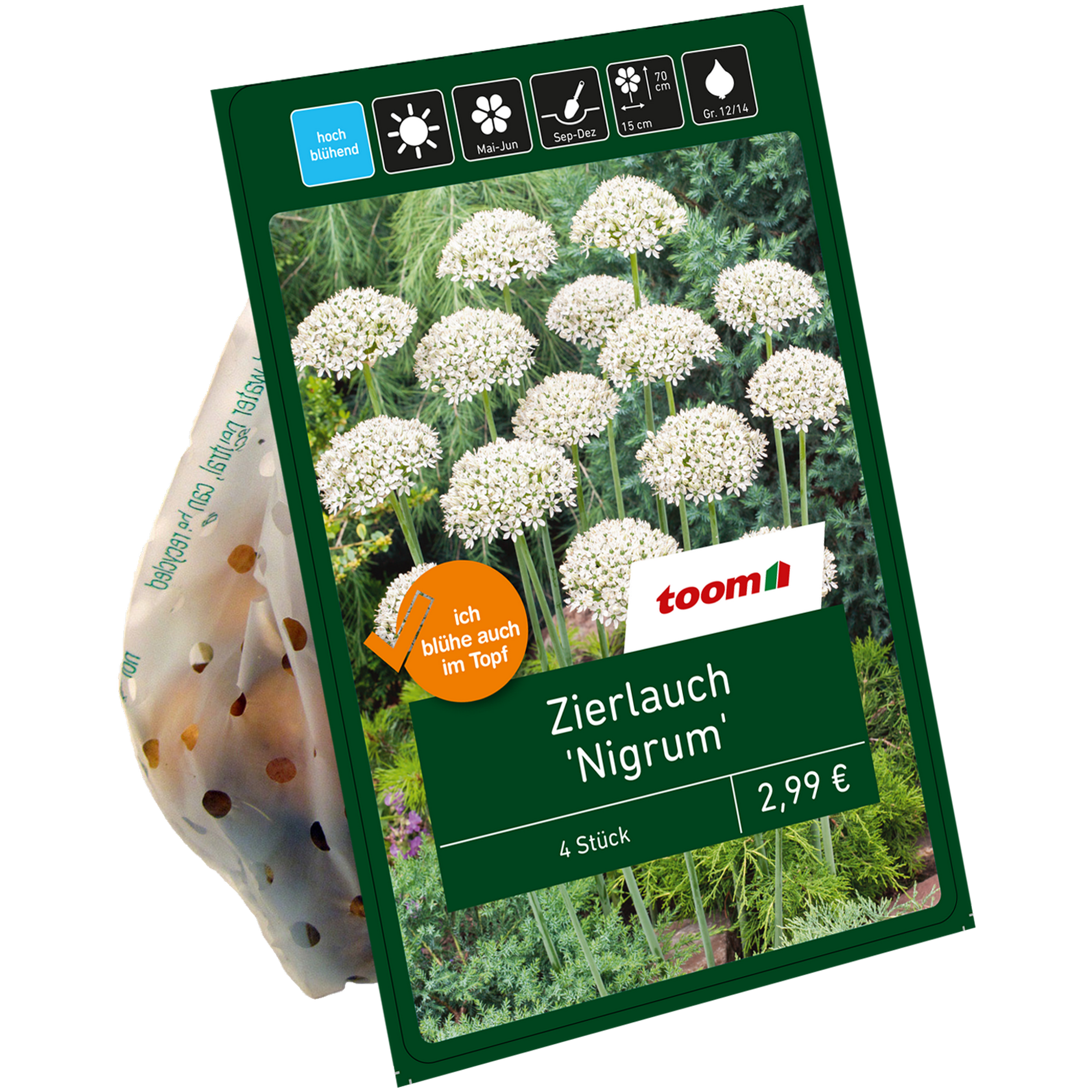 Zierlauch 'Nigrum' weiß 4 Stück + product picture