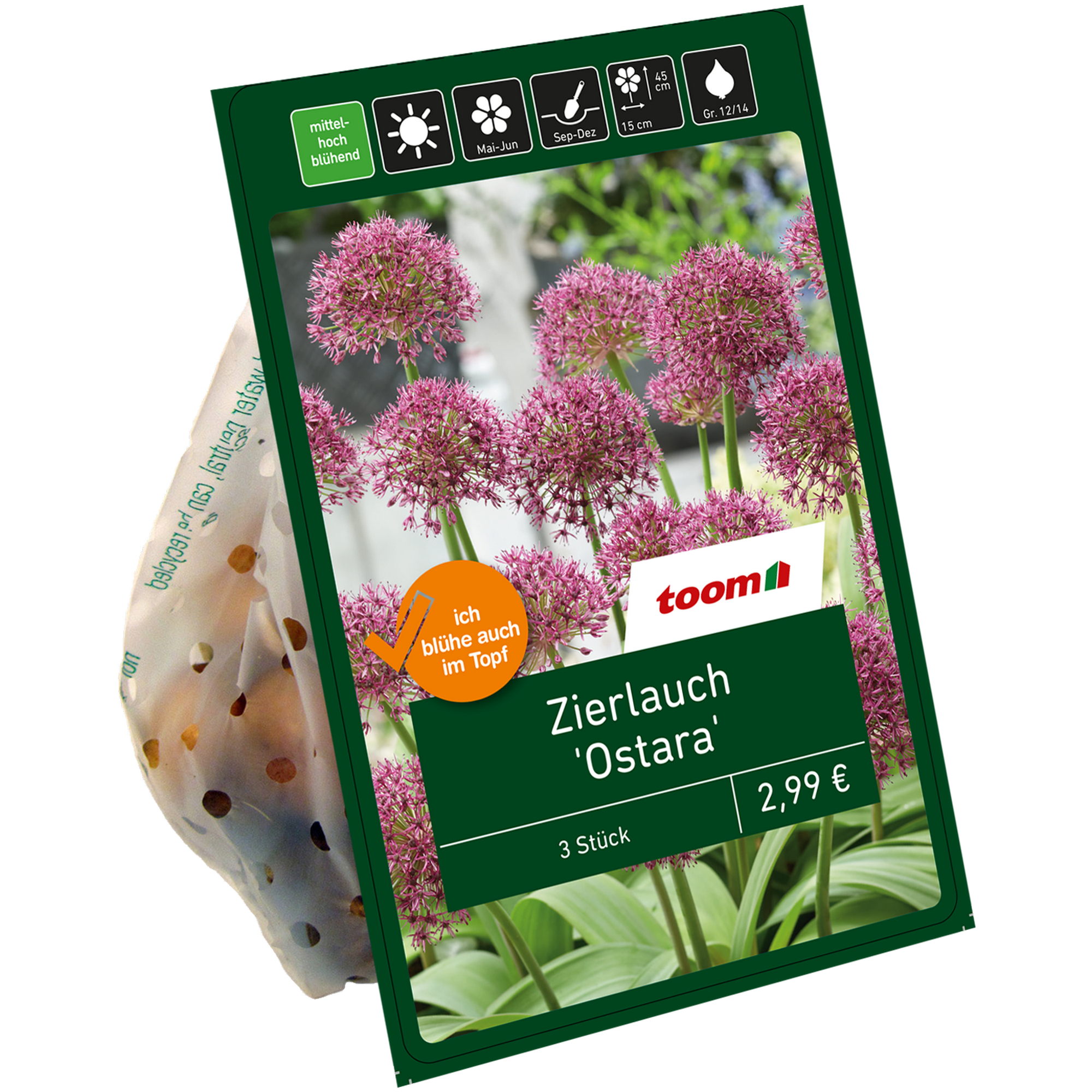Zierlauch 'Ostara' violett 3 Zwiebeln + product picture