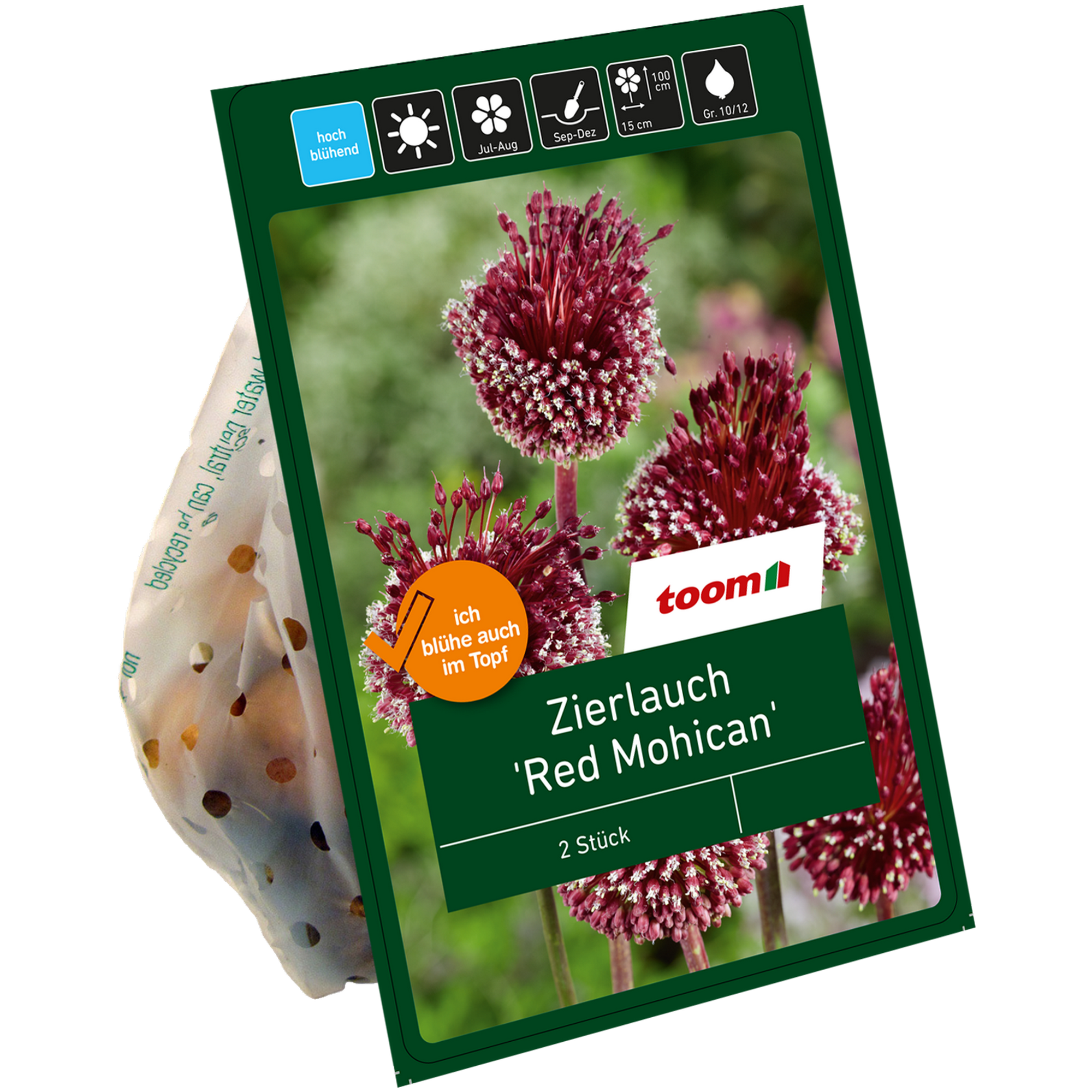 Zierlauch 'Red Mohican' rot 2 Zwiebeln + product picture
