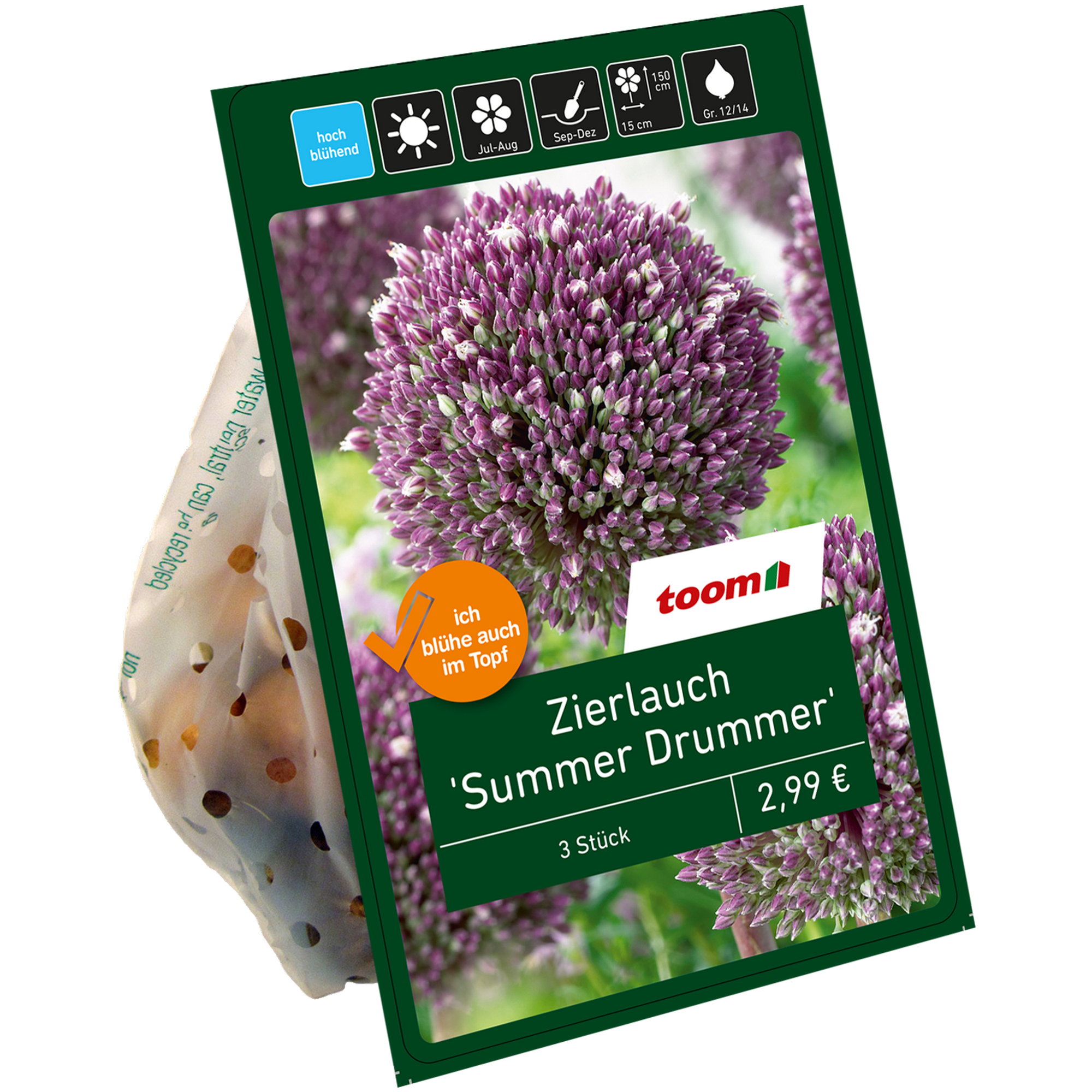 Zierlauch 'Summer Drummer' violett 3 Zwiebeln + product picture